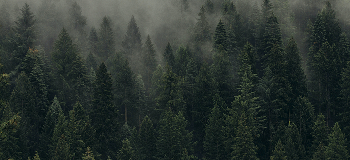 Lessons from Ukraine — Software-based capabilities for land forces